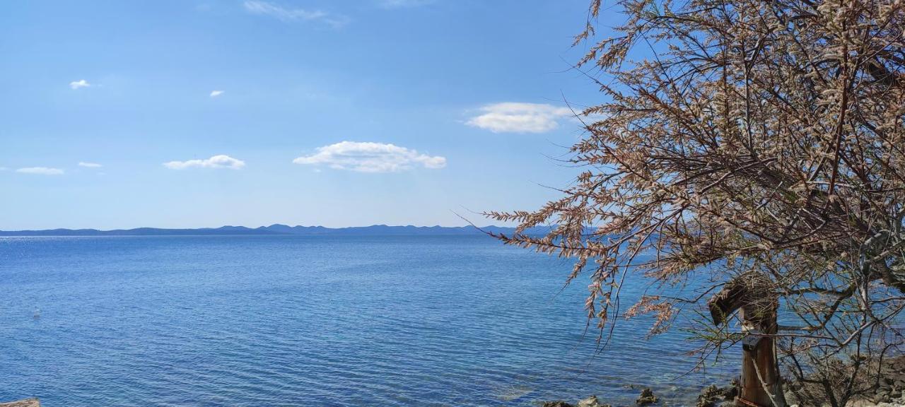 BanjSea House Anka别墅 外观 照片